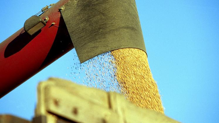 file-La récolte de blé tendre est estimé à 37,8 Mt, soit une hausse de près de 6% sur la dernière moyenne quinquennale.