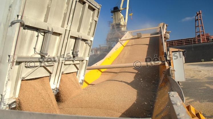 file-Les exportations céréalières françaises terminent la campagne en pleine forme après des débuts laborieux, mais le stock de blé tendre restant devrait tout de même être historiquement lourd.