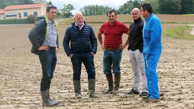 file-Les responsables agricoles ont constaté d’importants dommages, comme ici à Montfort, dans la région des gaves, entre Sauveterre-de-Béarn et Navarrenx.