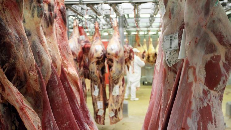 file-Selon l’Idele, la production de gros bovins finis en 2020 serait en retrait de 2,5% par rapport à 2019.