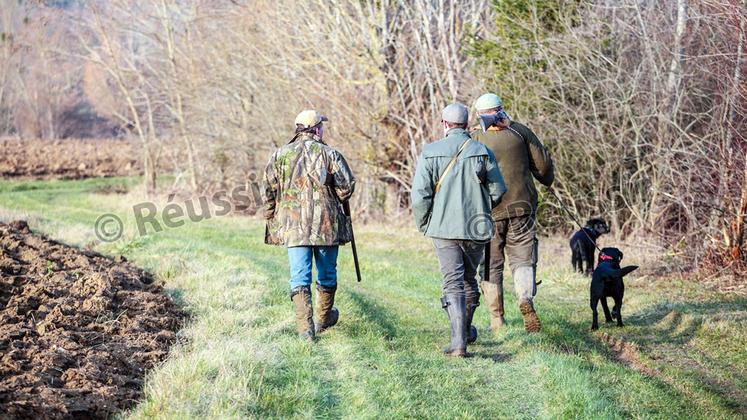 file-Les chasseurs pourront continuer à prélever les nuisibles responsables des dégâts sur les cultures.