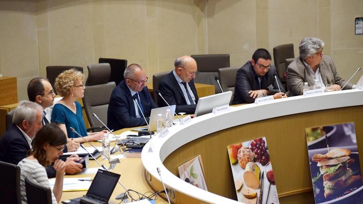 file-Réuni en salle plénière du conseil régional de Nouvelle-Aquitaine à Bordeaux, le Cifog et son président Michel Fruchet ont présenté le pacte défendu par la filière.