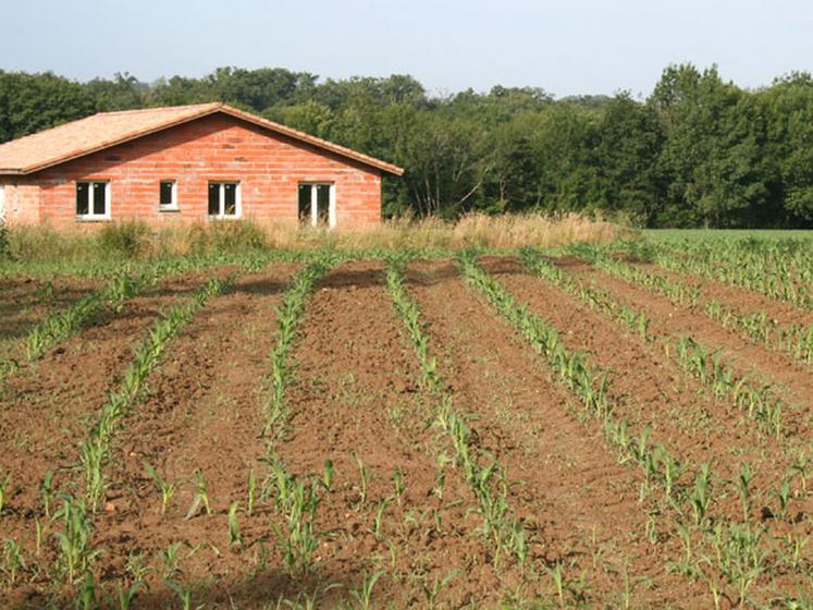 file-Autoroute, ligne grande vitesse ou urbanisation nécessaires au développement des territoires landais, grignotent les surfaces agricoles à un rythme qui s'accélère, mettant en danger l'agriculture du département, source de valeur ajoutée et d�