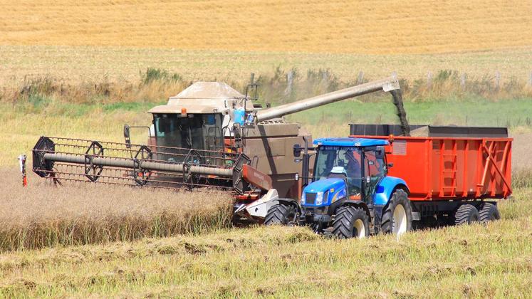 file-Selon Terra Inovia, les rendements sont dans l’ensemble très satisfaisants, à l’image d’une campagne qui s’est déroulée dans de bonnes conditions: implantations réussies, ravageurs bien maîtrisés et bon état sanitaire.