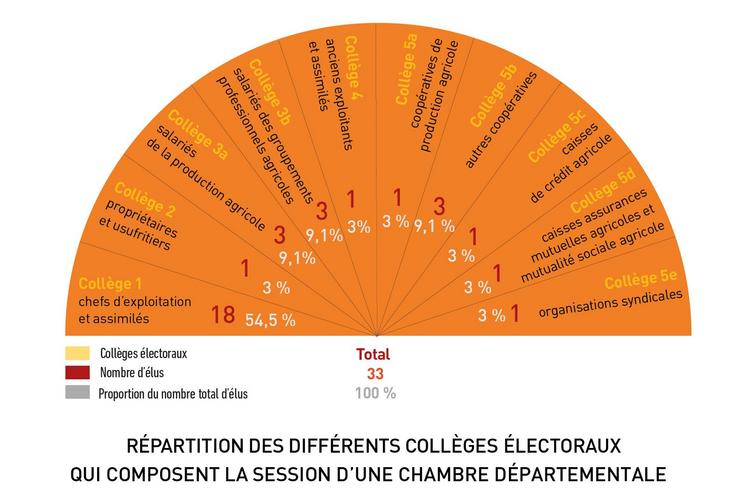 file-Les chambres d’agriculture départementales sont composées de 33 membres, élus au suffrage direct pour une durée de 6 ans et répartis dans dix collèges.