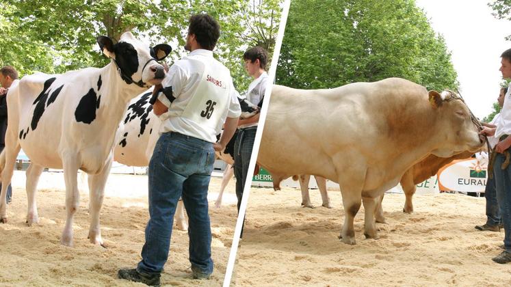 file-Organisée par la chambre d’agriculture et la fédération des comices, la Journée de l’élevage rassemble le meilleur de l’élevage du département des Pyrénées-Atlantiques en termes de sélection génétique, tant en élevage laitier qu’en élevage allaitant.