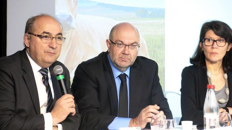 file-Le Salon de l’agriculture est avant tout un salon grand public, mais il reste dans le même temps un salon professionnel, que les organisateurs veulent renforcer par un meilleur service. «L’agriculture, une aventure collective» est la thématique de l’éditi