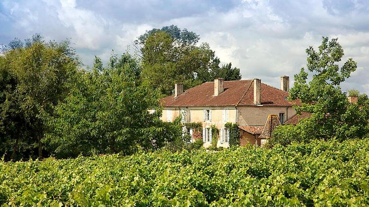 file-Les viticulteurs des Côtes de Gascogne (notre photo : Le Domaine d’Espérance à Mauvezin-d’Armagnac dans les Landes) s’intéressent aussi au marché national.
