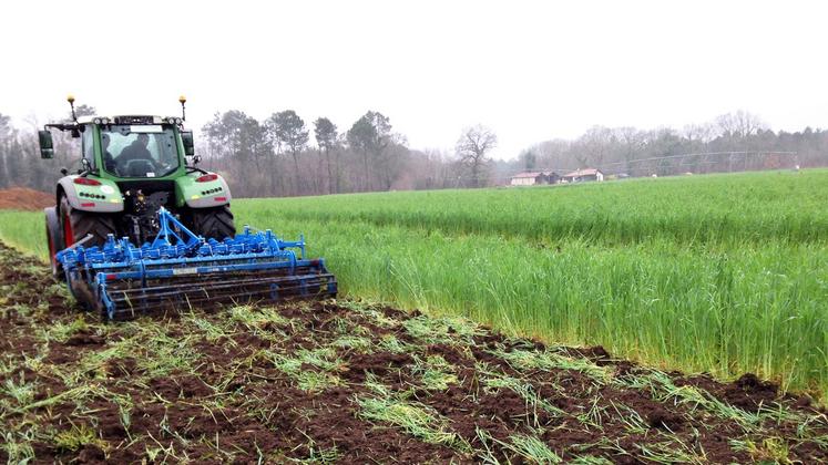 file-Certification maïs, directive nitrate et surfaces d’intérêt écologique sont les 3 dispositifs mettant en œuvre des couverts végétaux.