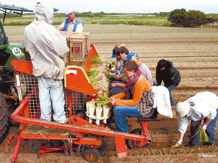 file-La FNSEA dénonce les charges franco-françaises, comme le coût de la main d'oeuvren qui sont autant de distorsions de concurrence et d'entraves à  la compétitivité de l'agriculture hexagonale.