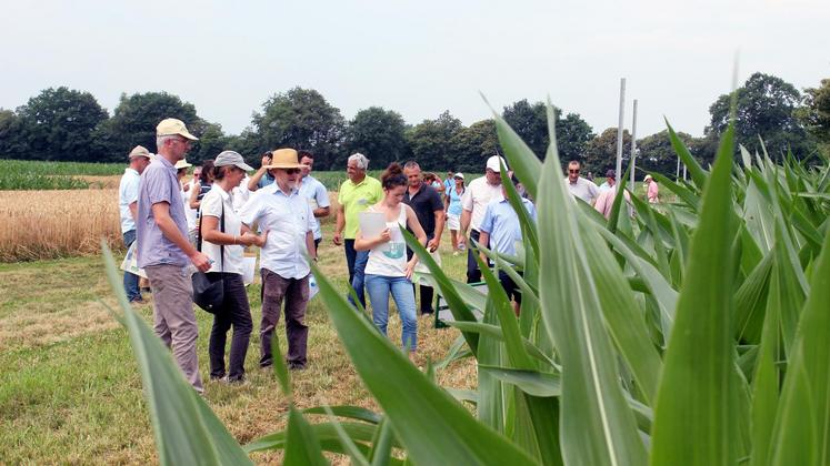 file-Derniers préparatifs pour Arvalis et ses partenaires, qui donnent rendez-vous aux producteurs les 6 et 7 juin prochains à L’Isle-Jourdain dans le Gers.