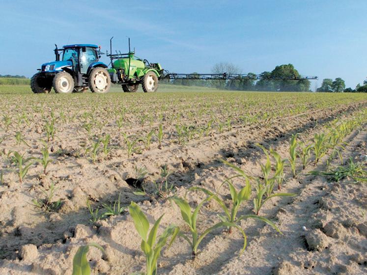 file-La modification des périodes de semis oblige de revoir, également, la stratégie de désherbage. Il faut tenir compte de l'avancement de la végétation. Â© Réussir