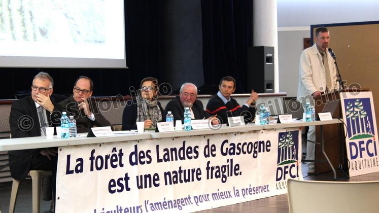 file- L’assemblée générale de la DFCI a été l’occasion de faire un point sur l’avancement des travaux menés pour effacer au plus tôt les traces encore visibles sur le terrain, six ans après le passage de la tempête Klaus.