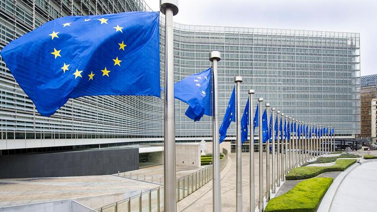 les États membres ont comme prévu adopté le 19 décembre une décision demandant à la Commission européenne de mener une étude complétant l’analyse d’impact accompagnant la proposition de règlement sur l’utilisation durable des pesticides