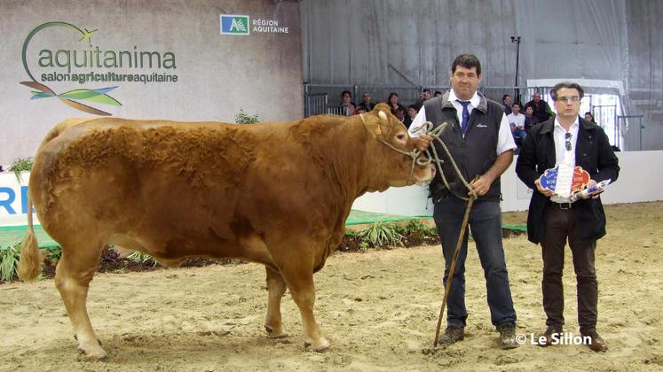 file-Eronde, 1.010 kg sur la balance, de l'élevage Jean Laurent de Charente-Maritime a décroché la meilleure enchère avec 6.200€ déboursé par la maison Ducasse, abatteur à Bordeaux.