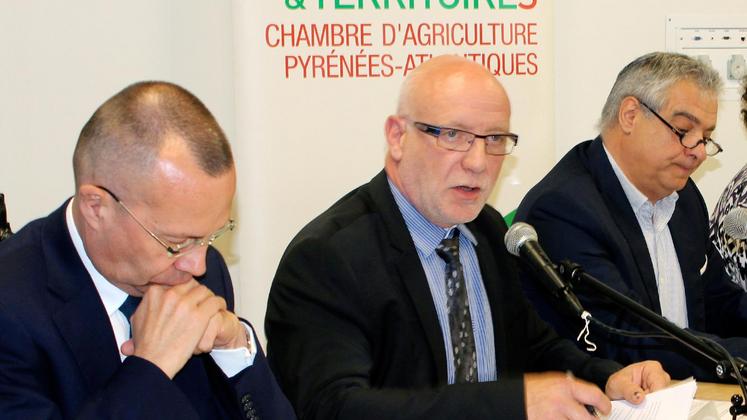 file-Guy Estrade, qui occupait jusqu’à l’heure le poste de premier vice-président et assurait l’intérim a été élu à la tête de la chambre d’agriculture avec une confortable majorité (26 voix sur 34 votants)