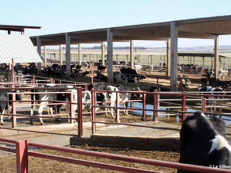 file-Avec environ 25 000 exploitations laitières pour moins d'un million de vaches, la filière laitière espagnole se décline selon deux contextes pédo-climatiques très différents. En Espagne sèche, les ateliers se démarquent par leur intensification. Â© L