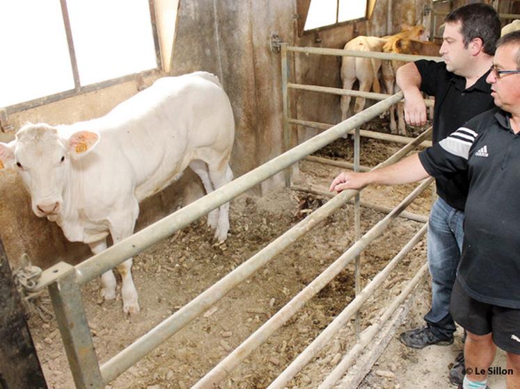 file-L'Aquitaine va accueillir le congrès annuel des associations d'éleveurs pour la première fois depuis leur création. Basées sur la mise en relation des éleveurs avec des négociants privés, ces structures regroupent 20 000 adhérents en France. Â© 