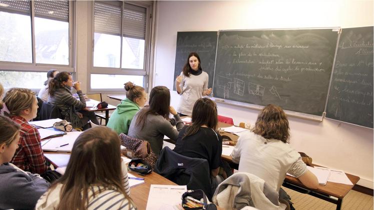 file-L’enseignement doit anticiper les évolutions des métiers des filières agricoles pour adapter les formations.