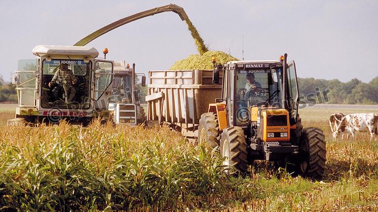 file-Un dessèchement complet de la plante est très préjudiciable pour la conservation du silo.