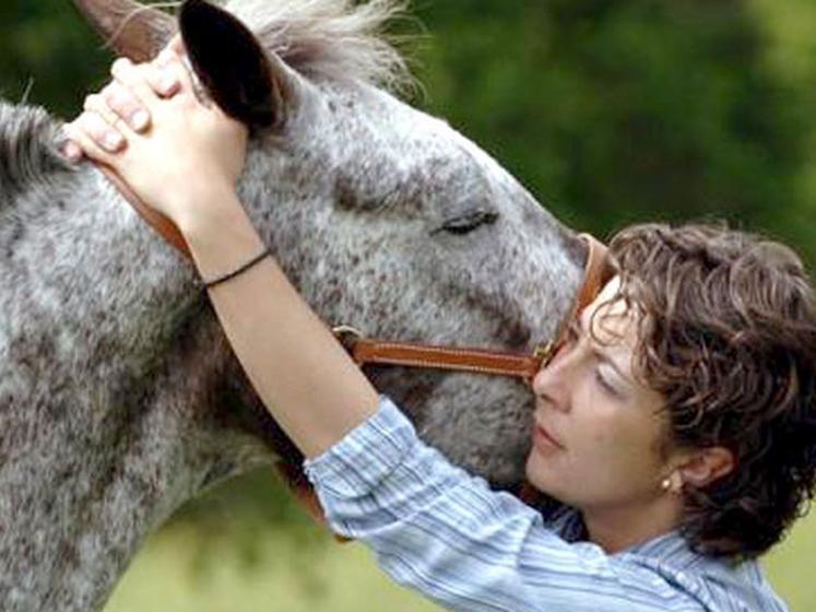 file-Carole Pouget n'est pas seulement cavalière, elle est aussi ostéopathe équine. Cette discipline permet de libérer les restrictions de mobilités et de redonner au cheval son équilibre et sa souplesse, comme ici avec une normalisation de l'atlas.