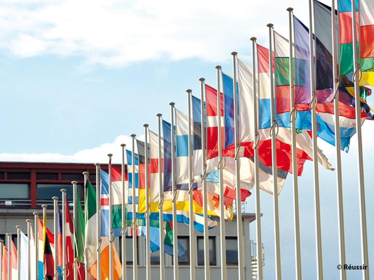 file-En vue des élections européennes, du 22 au 25 mai prochain, le Comité des organisations professionnelles agricoles (COPA) et la Confédération générale des coopératives agricoles (Cogeca) de l'UE détaillent les priorités du secteur agricole. © Réussi