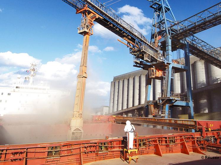 file-Depuis trois ans, les exportations françaises de céréales atteignent des records. Mais pour maintenir les positions, la production devra suivre sur le long terme © S.L / Réussir