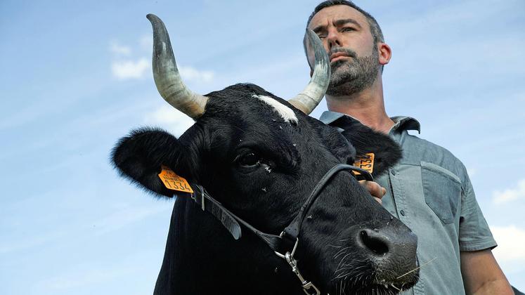 file-Après la landaise Cerise, l’égérie 2017 de ce salon sera Fine, une vache bretonne pie-noir. «On s’installe d’abord par passion» précise son éleveur Cédric Briand