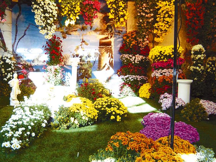file-EnÂ 2003 etÂ 2006 (nos photos), les compositions exposées par les différentes villes participantes avaient émerveillé le nombreux public venu assister à  ces précédentes éditions des Floralies nationales de Pau. Gageons qu'il en sera de même en 2010.