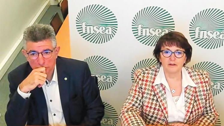 file-La présidente de la FNSEA, Christiane Lambert, et le second vice-président, Henri Bies-Péré, ont présenté ce 4 janvier les attentes du syndicat pour les prochaines échéances électorales.