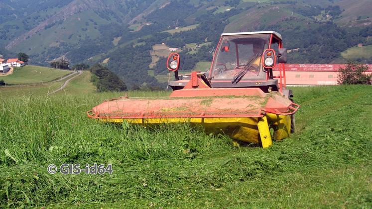 file-Vitesse de fauche, hauteur de coupe, heures d’intervention, réglages des outils… sont autant de paramètres à prendre en compte pour préserver au maximum la valeur nutritive de l’herbe. ©GIS-id64