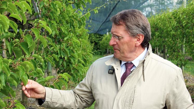 file-François Lafitte, président de la Scaap Kiwifruits de France, espère attirer de nouveaux producteurs dans les rangs de la coopérative. La société ambitionne de créer 100 nouveaux postes et d’implanter 200 hectares de vergers supplémentaires d’ici 2022.