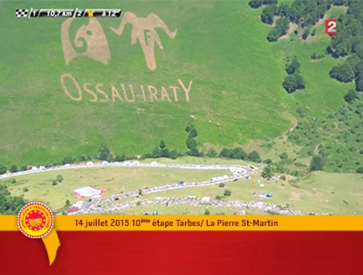 file-À l’occasion de la dixième étape du Tour de France, une quinzaine d’éleveurs de la vallée du Barétous et des environs sétaient mobilisés pour tailler, dans les fougeraies du plateau de Chousse à Arette, une sculpture végétale représentant les signes de l’