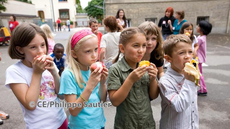 file-Sur le plan budgétaire, les dotations annuelles des programmes de distribution de produits agricoles dans les écoles sont réparties entre les États membres sur la base de critères objectifs.