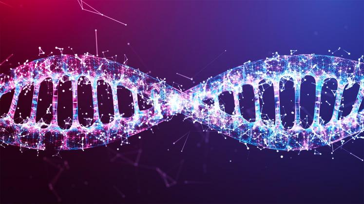 file-Le décryptage du génome a bouleversé les méthodes de sélection. La sélection génomique prédictive permet d’accélérer le progrès génétique dans le temps.