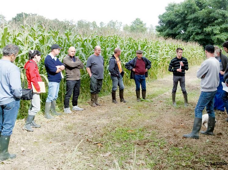 file-Jeudi 19 septembre, le service irrigation de la chambre d'agriculture proposait une visite de l'expérimentation du goutte à goutte enterré sur mais (comparaison avec l'irrigation par pivot) chez Bruno Cabé à Villeneuve de Marsan (Landes).