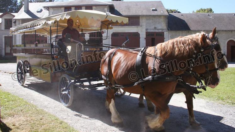file-Les haras de Pau-Gelos  se sont dotés d’une nouvelle calèche spécialement adaptée pour des visiteurs à mobilité réduite, qu’il s’agisse du transport ou de la conduite.