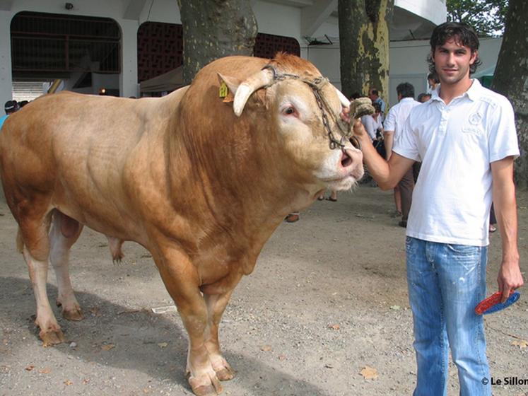 file-Aurélien Hillotte, installé depuis quelques années à  peine, a vécu la sélection de son taureau comme une «Â très bonne surpriseÂ ». Pour lui et ses compagnons, il va maintenant s'agir de préparer au mieux les animaux Â© Le Sillon