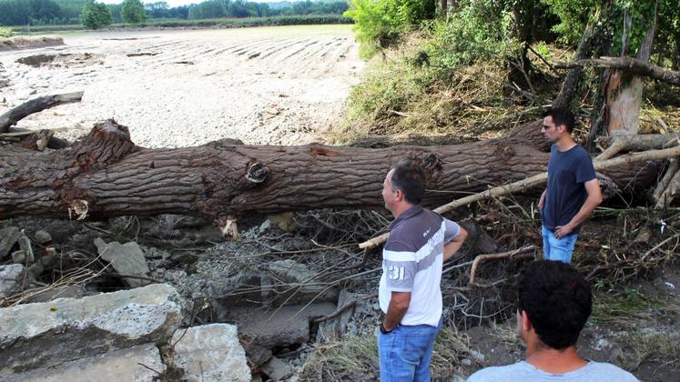 file-Entre Landes et Pyrénées-Atlantiques, de part d’autres du Gave d’Oloron, les vergers de kiwi ont subi d’impressionnants dégâts.