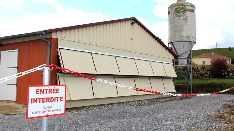 file-Le ministère a publié un arrêté abaissant au niveau «négligeable» le risque d’influenza aviaire hautement pathogène. Mais le véritable redémarrage ne se fera qu’avec le retour des canards et des oies dans les élevages, programmé le 29 mai