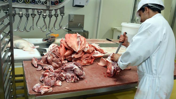 file-L'atelier de découpe chez Patrick et Pierre Tastet à Horsarrieu (Landes)