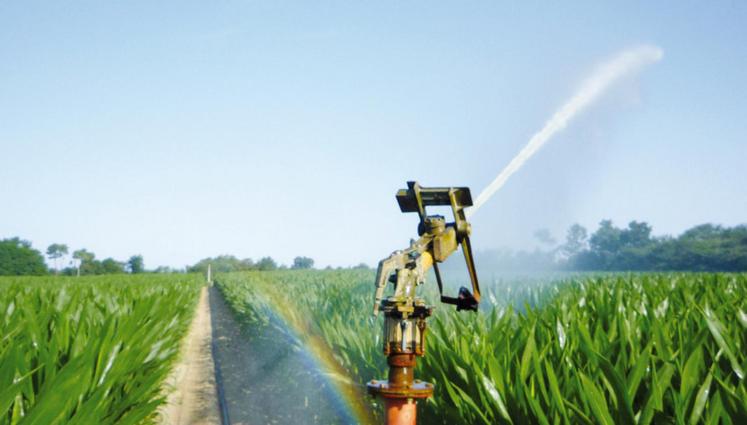 file-La prochaine campagne d'irrigation est assurée.