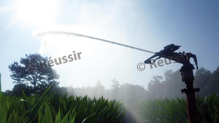 file-Si quelques restrictions sont venues frapper certains secteurs, la gestion de l’irrigation reste plutôt saine dans le sud de l’Aquitaine. En revanche, les cultures non irriguées seront, à coup sûr, touchées par une baisse du potentiel de rendement.