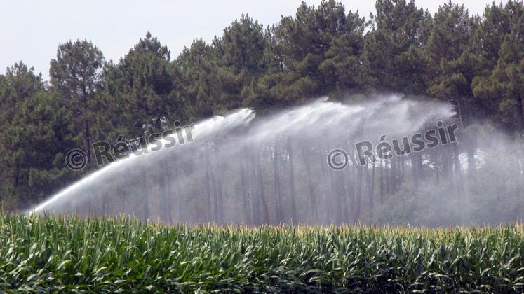 file-Selon Gilles Espagnol, «les gains de rendement permis par l’irrigation en maïs grain sont en général compris entre 30 et 90q/ha».