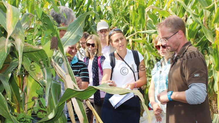 file-De nombreux témoignages et des interventions sur le terrain ont abordé la thématique de la réduction de l’utilisation des produits phytosanitaires. Une pratique qui peut permettre de « faire des économies sur les exploitations ».