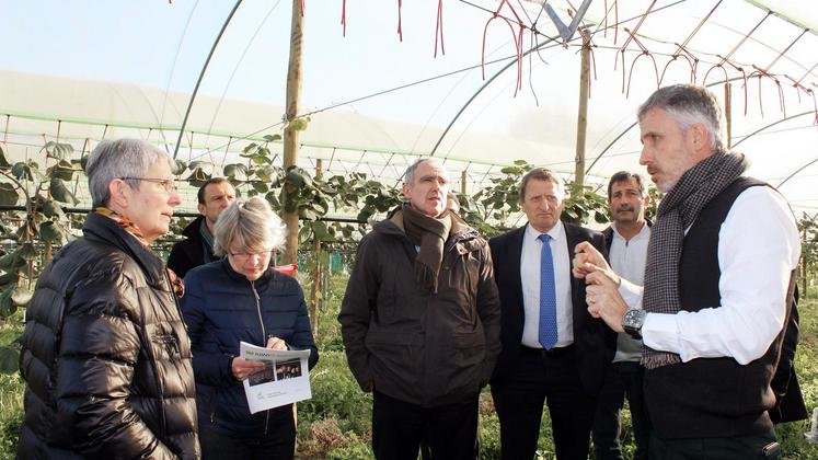 file-Les responsables et acteurs de la filière Kiwis de l’Adour, ont accueilli le préfet, Frédéric Périssat, et les élus du territoire dans les vergers, lors d’une rencontre organisée en collaboration avec la chambre d’agriculture et l’association Qualité Land