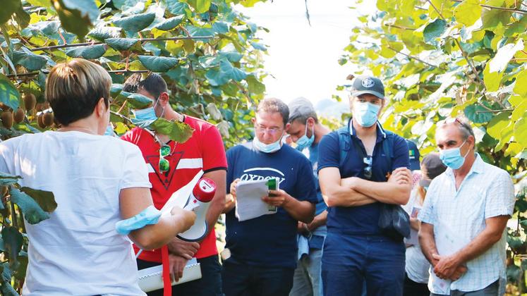 file-À Castagnède, le vendredi 18 septembre, ou la veille à Lahontan (notre photo), les responsables de Garlanpy et de la Scaap Kiwifruits ont présenté les opportunités de marché qu’offre aujourd’hui la culture du kiwi