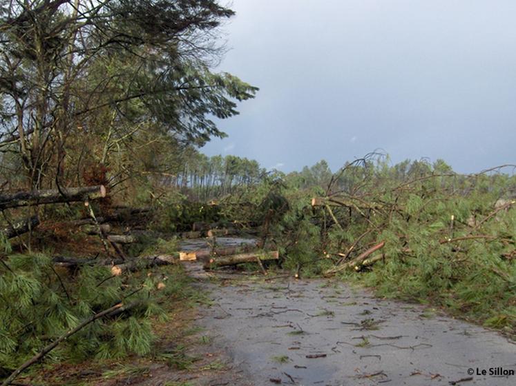 file-Routes jonchées d'arbres, lignes électriques et de téléphone coupées ont isolé les communes, handicapant fortement les élus dans leur gestion de l'après tempête Klaus. Une situation que ces derniers ne veulent pas revivre.