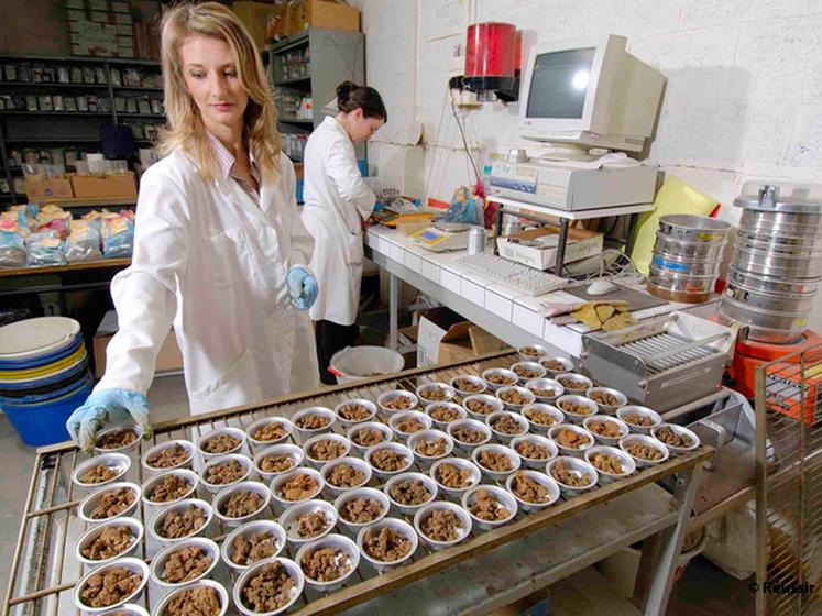 file-Les situations de crise ou les alertes relatives aux denrées alimentaires sont plus fréquentes : non pas parce que la situation sanitaire se dégrade mais bien en raison d'une meilleure surveillance et remontée d'informations. © Réussir