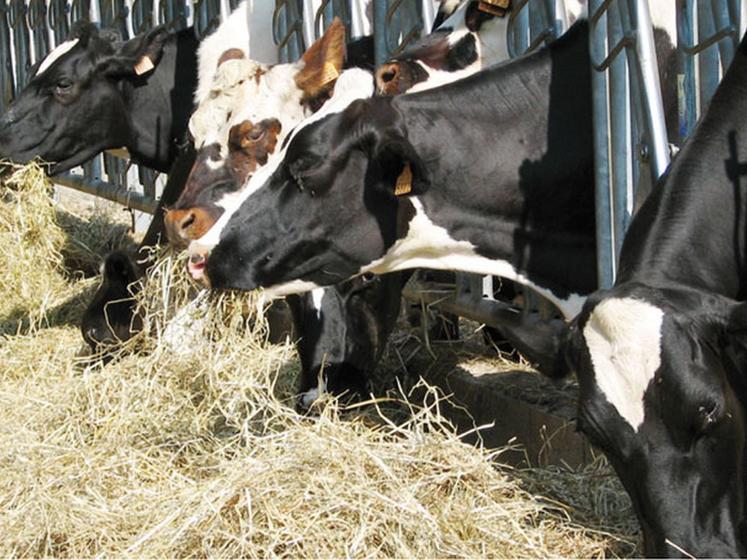 file-Les charges d'alimentation du troupeau laitier représentent environ 30 % du coût de production du lait. Loin devant la mécanisation (21 %), les charges courantes (19 %), la main-d'oeuvre (18 %) et les bàtiments (8 %) Â© Réussir